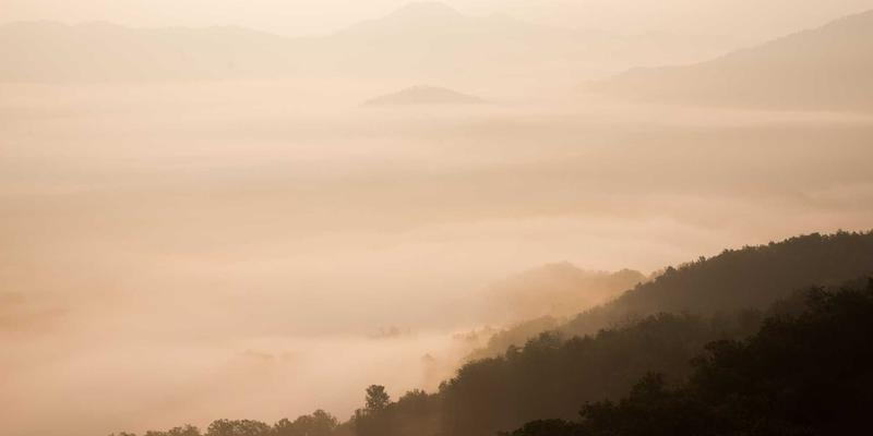 边缘计算与网络融合：如何为云游戏、自动驾驶构建超低时延的“神经末梢”？